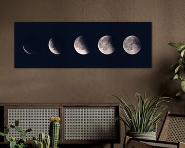 The phases of the moon - a look at the night sky by Thorsten Güttes / 25pictures
