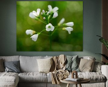 Pinksterbloem van Leon Fotografie