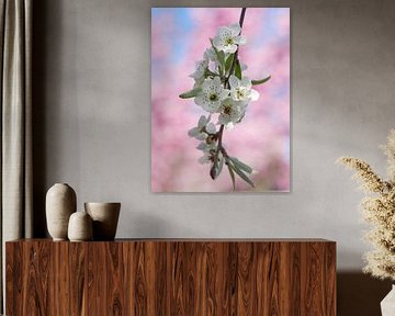 Deux fleurs