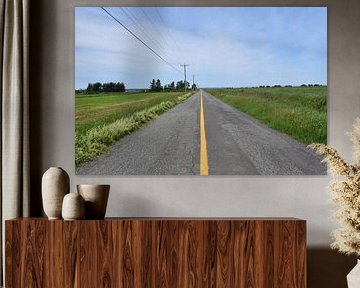 A summer country road