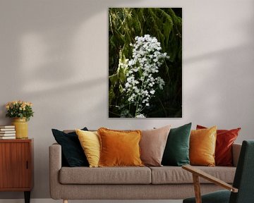Nature morte dans le parc Stanley sur Miss Dee Photography