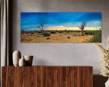 Panorama van de Kalahari woestijn, Namibië van Rietje Bulthuis