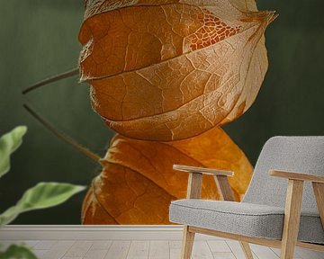 Fragile and vulnerable: Still life of a lantern by Marjolijn van den Berg