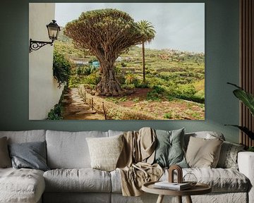 Drachenbaum in Icod de los Vinos – Kanarische Naturwunder von NZME Photography
