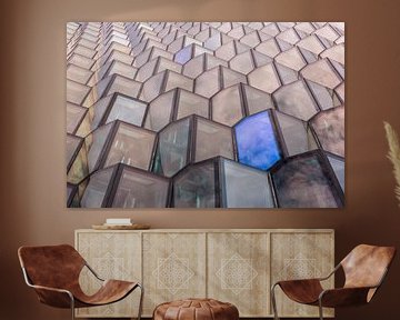 Harpa reflections von Sylvia Adams