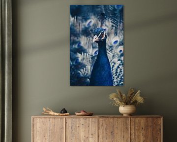 The elegance of the peacock - beauty in all its splendour