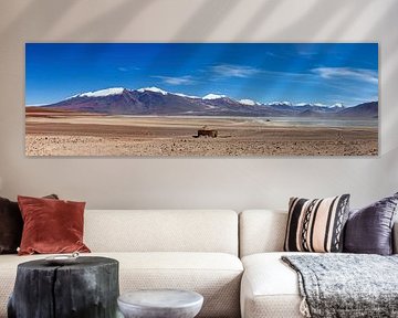 Das Altiplano in Bolivien von Roland Brack