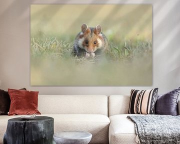 Manger un hamster sauvage sur Jasper Kok