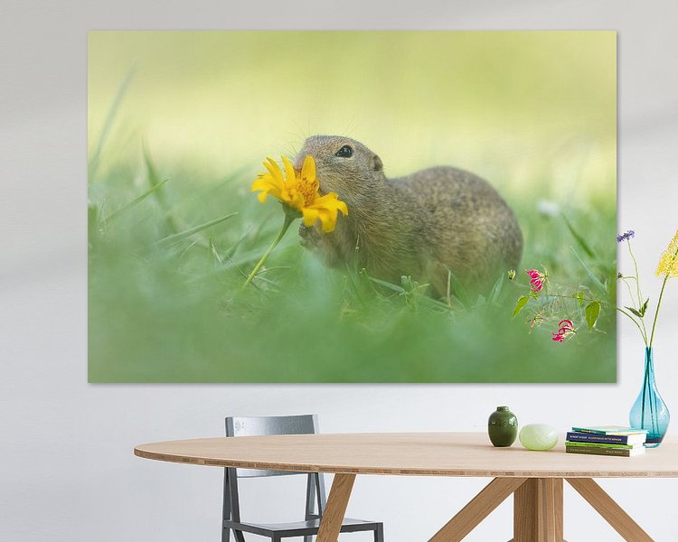 Voorbeeld van het werk in een kamer