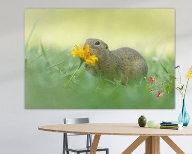 Voorbeeld van het werk in een kamer