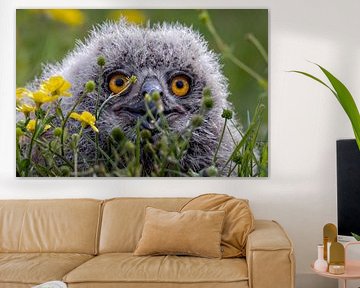 Owl owl by Marieke Deinum