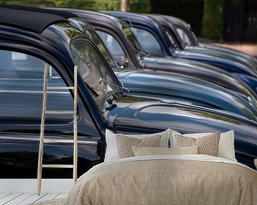 Rows of Volkswagen Beetles - front windows