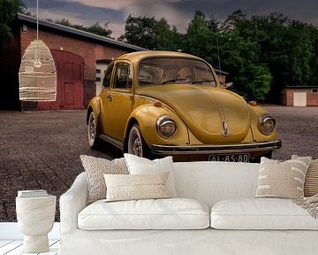 Beetle in a nostalgic setting