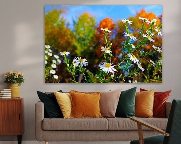 wild flowers