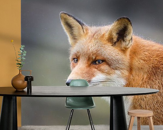 Raumvorschau