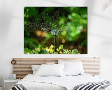 Irrigation system for the garden by ManfredFotos