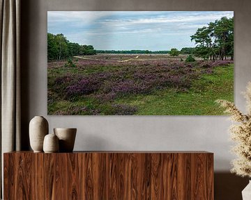 Westerheide