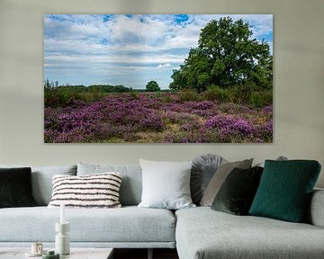 Westerheide