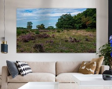 Westerheide