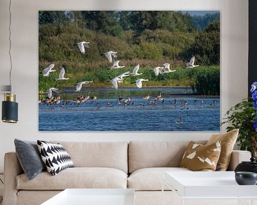 White Spoonbills in flight in a large group. by Brian Morgan