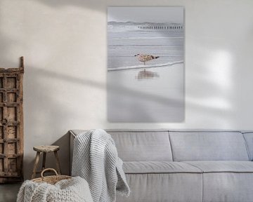 Een meeuw geniet van de serene rust op het strand van Cadzand van Marjolijn van den Berg