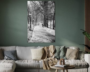 Winter in Utrecht. Wandelen in het Zocherpark. van André Blom Fotografie Utrecht