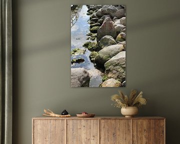 Eine ruhige, natürliche Uferlandschaft