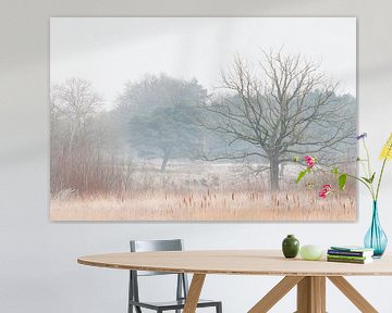 Winter in the Pannenhoef