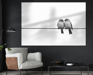 Birds on Wire - minimalist silhouette artwork by Kleurenrijk