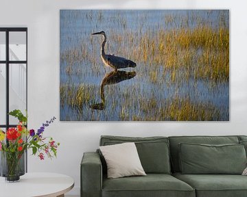 Un grand héron sur le fleuve sur Claude Laprise