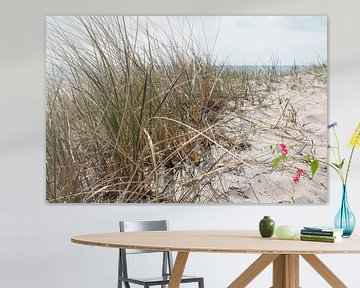 Dune life by Bengt Schrum