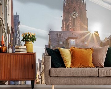 Bendergasse in het historische stadscentrum met keizerlijke kathedraal, Frankfurt