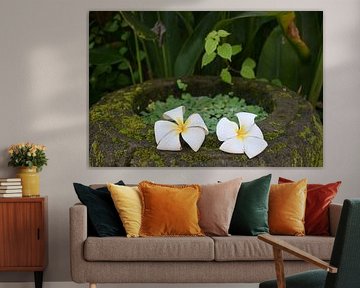 Frangipani bloemen op mossteen in Bali van Minimalistiche reisfotografie by.Rieneke