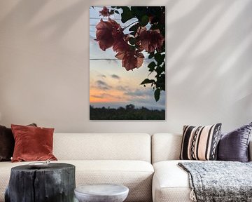 Fijne bougainvillea bloemen bij zonsondergang in Bali van Minimalistiche reisfotografie by.Rieneke