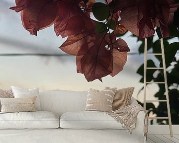Fijne bougainvillea bloemen bij zonsondergang in Bali van Minimalistiche reisfotografie by.Rieneke