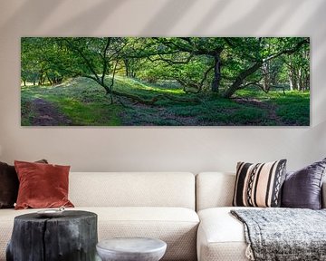 Panorama eines Waldgebiets in Drentsche Aa in Drenthe von Jan van der Vlies