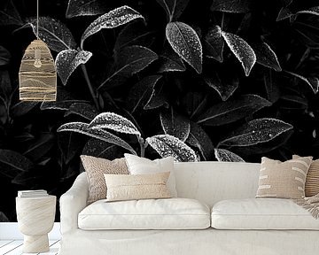 Blätter in reifem Grafikkontrast in Schwarz und Weiß