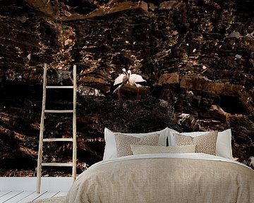 Storks on Rock Wall Hidden Connection in Love by Femke Ketelaar