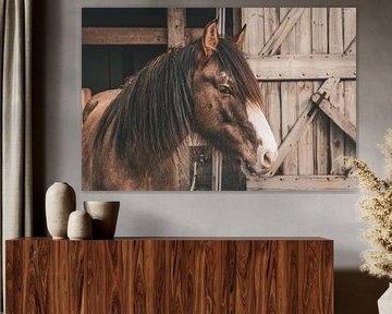 Paard in een stal
