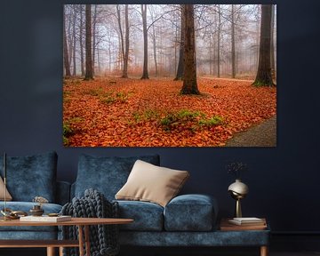 Forêt d'automne brumeuse et colorée