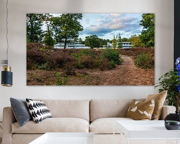 Hoorneboegseheide