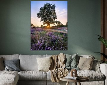 Zonsondergang op de heide van Thijs Friederich