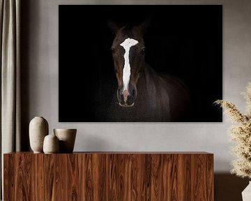 Fine Art portret van een Duitse paard van Irene Ruysch fotografie