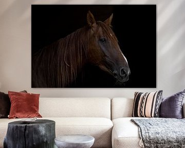 Fine Art photo of an Arabian horse by Irene Ruysch fotografie