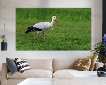 Eeemnesser Polder by Peter Veerman