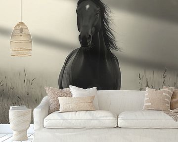 Majestätisches schwarzes Pferd im Morgennebel