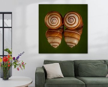 Ogen gericht op jou: Twee spiraal schelpen met reflectie in het groen van Marjolijn van den Berg