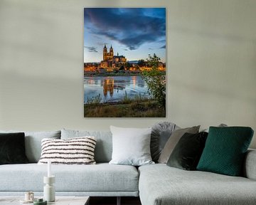 Dom van Maagdenburg na zonsondergang van t.ART