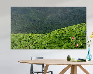 Groene heuvels met theevelden in patronen van Stedelijke landschappen - Rick Van der Poorten Fotografie