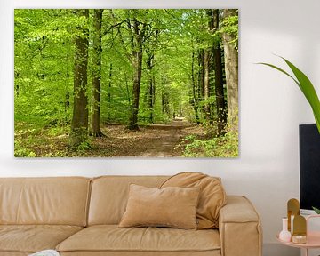 Schöner Wald im Frühling von Corinne Welp
